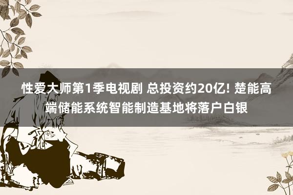 性爱大师第1季电视剧 总投资约20亿! 楚能高端储能系统智能制造基地将落户白银