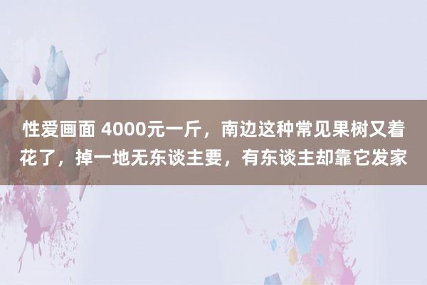 性爱画面 4000元一斤，南边这种常见果树又着花了，掉一地无东谈主要，有东谈主却靠它发家