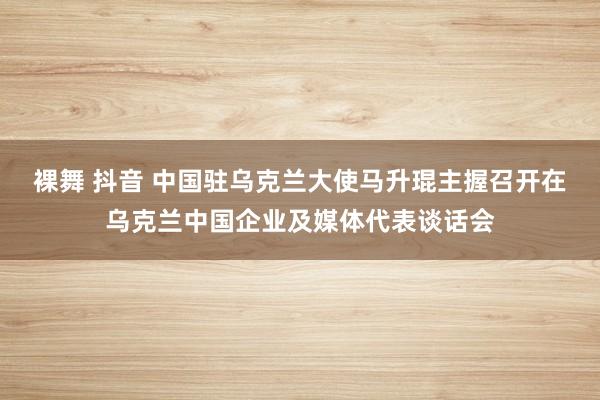 裸舞 抖音 中国驻乌克兰大使马升琨主握召开在乌克兰中国企业及媒体代表谈话会