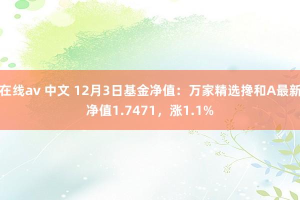 在线av 中文 12月3日基金净值：万家精选搀和A最新净值1.7471，涨1.1%