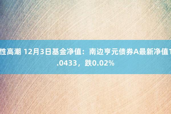 性高潮 12月3日基金净值：南边亨元债券A最新净值1.0433，跌0.02%