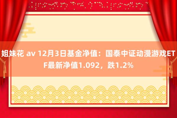姐妹花 av 12月3日基金净值：国泰中证动漫游戏ETF最新净值1.092，跌1.2%