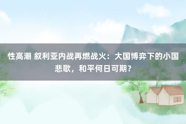 性高潮 叙利亚内战再燃战火：大国博弈下的小国悲歌，和平何日可期？