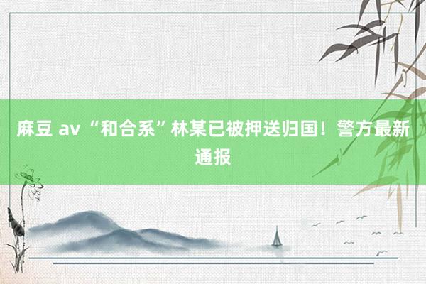 麻豆 av “和合系”林某已被押送归国！警方最新通报