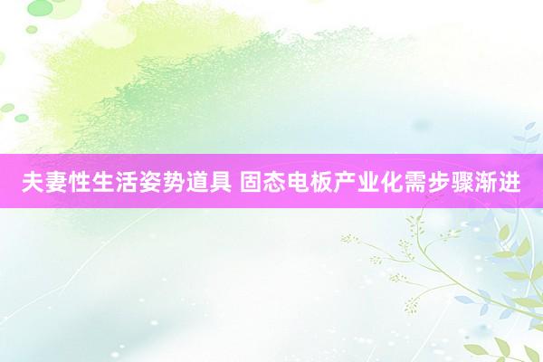夫妻性生活姿势道具 固态电板产业化需步骤渐进