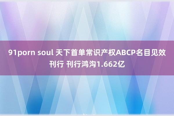 91porn soul 天下首单常识产权ABCP名目见效刊行 刊行鸿沟1.662亿