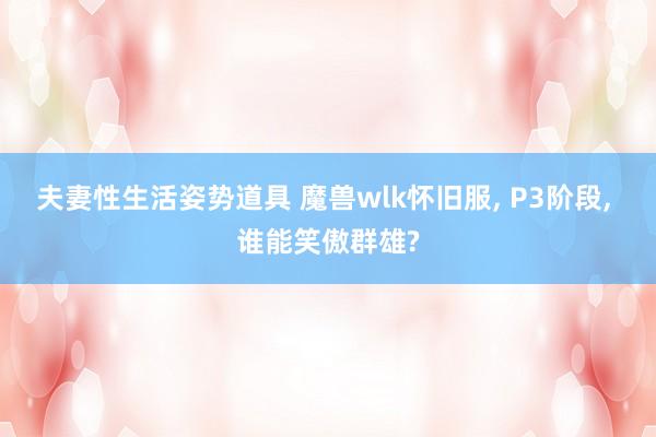 夫妻性生活姿势道具 魔兽wlk怀旧服， P3阶段， 谁能笑傲群雄?