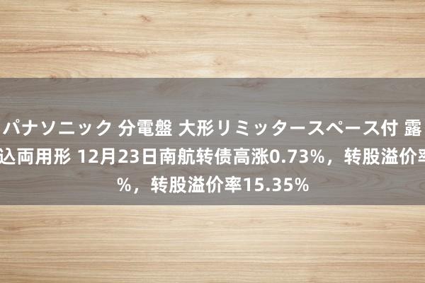 パナソニック 分電盤 大形リミッタースペース付 露出・半埋込両用形 12月23日南航转债高涨0.73%，转股溢价率15.35%