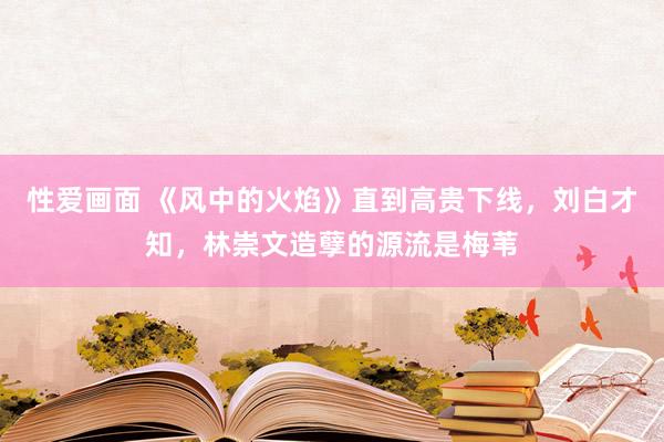 性爱画面 《风中的火焰》直到高贵下线，刘白才知，林崇文造孽的源流是梅苇