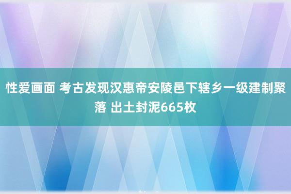 性爱画面 考古发现汉惠帝安陵邑下辖乡一级建制聚落 出土封泥665枚