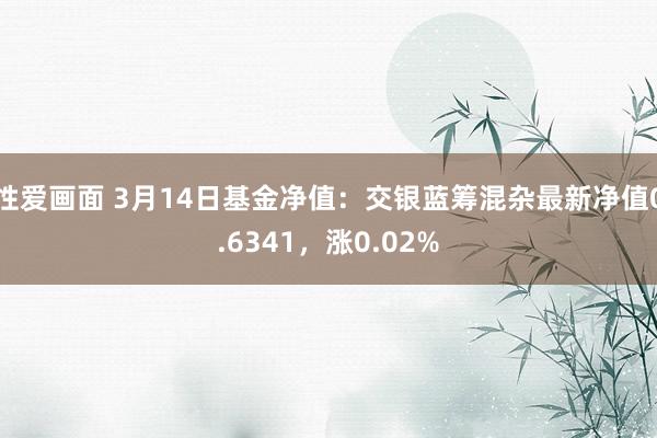 性爱画面 3月14日基金净值：交银蓝筹混杂最新净值0.6341，涨0.02%