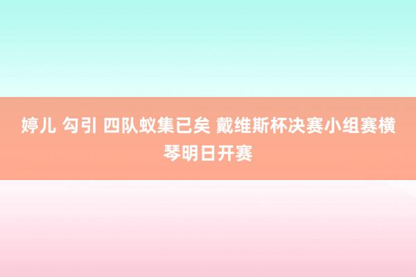 婷儿 勾引 四队蚁集已矣 戴维斯杯决赛小组赛横琴明日开赛