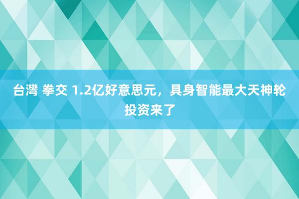 台灣 拳交 1.2亿好意思元，具身智能最大天神轮投资来了