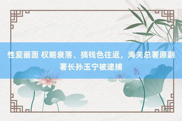 性爱画面 权略衰落、搞钱色往返，海关总署原副署长孙玉宁被逮捕