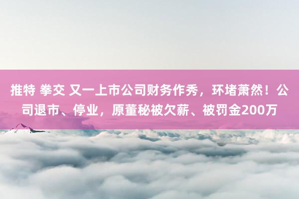 推特 拳交 又一上市公司财务作秀，环堵萧然！公司退市、停业，原董秘被欠薪、被罚金200万