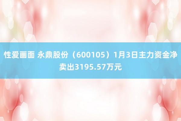 性爱画面 永鼎股份（600105）1月3日主力资金净卖出3195.57万元