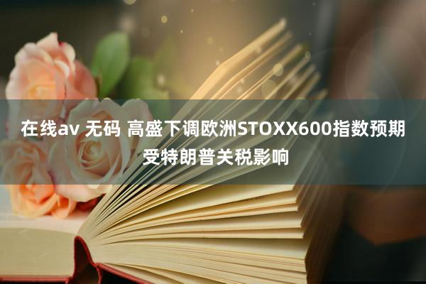 在线av 无码 高盛下调欧洲STOXX600指数预期 受特朗普关税影响