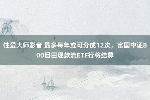 性爱大师影音 最多每年或可分成12次，富国中证800目田现款流ETF行将结募
