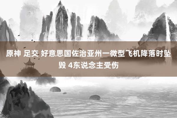 原神 足交 好意思国佐治亚州一微型飞机降落时坠毁 4东说念主受伤
