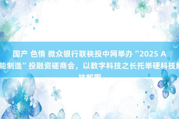 国产 色情 微众银行联袂投中网举办“2025 AI赋能制造”投融资磋商会，以数字科技之长托举硬科技解围