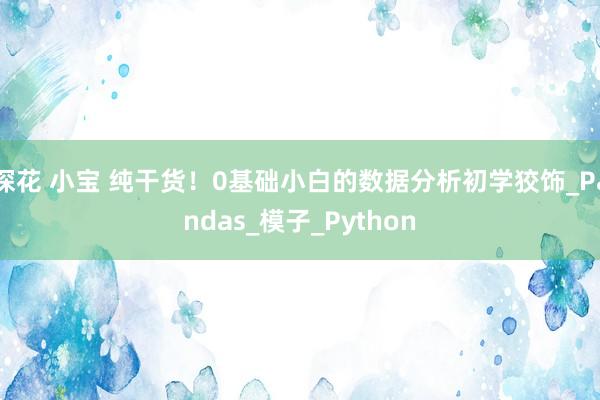 探花 小宝 纯干货！0基础小白的数据分析初学狡饰_Pandas_模子_Python